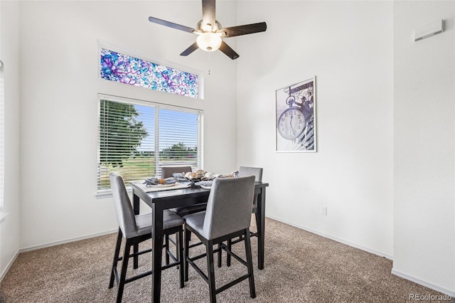 10570 Echo Ct, Firestone, CO 80504 - photo 11