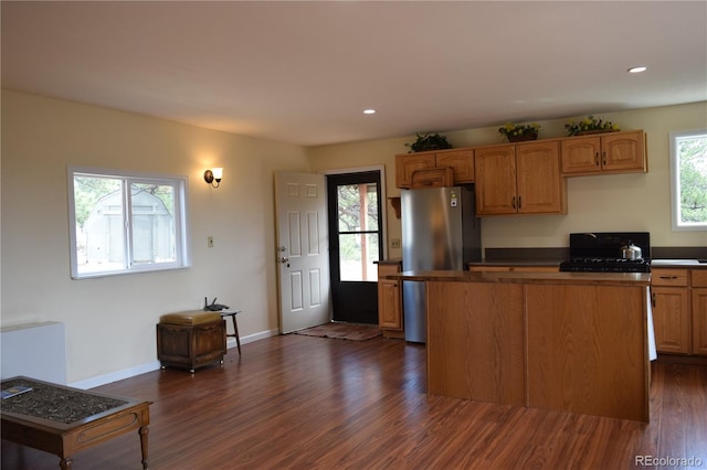 kitchen with stainless steel fridge, dark hardwood / wood-style floors, a wealth of natural light, and stove