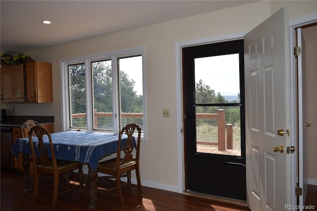 dining room featuring a wealth of natural light and dark hardwood / wood-style floors