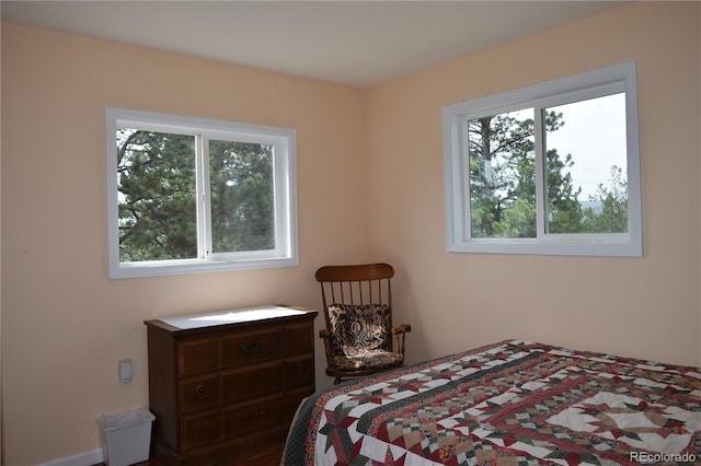 bedroom featuring multiple windows