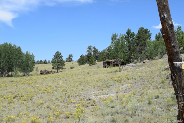 view of nature with a rural view