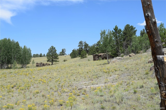 view of landscape featuring a rural view