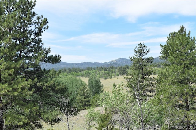 property view of mountains featuring a wooded view