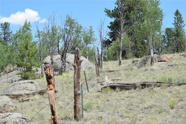 view of landscape