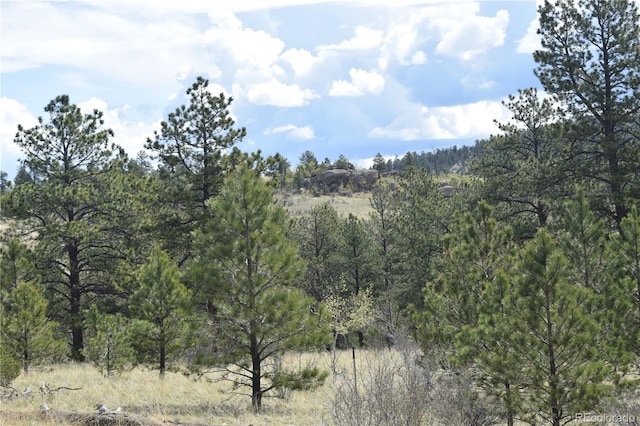 view of nature featuring a view of trees