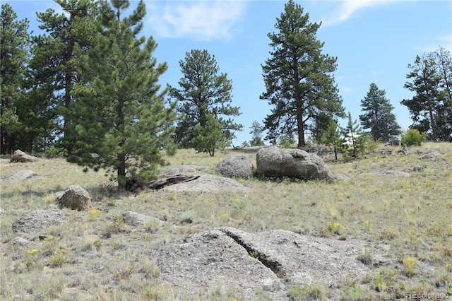 view of local wilderness