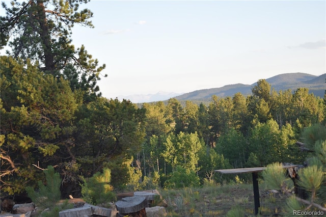 property view of mountains featuring a wooded view