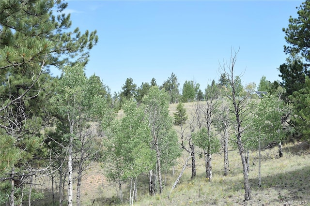 view of local wilderness with a view of trees