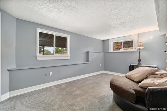 3390 S Ensenada Way, Aurora, CO 80013 - living area with carpet flooring, plenty of natural light, and a textured ceiling