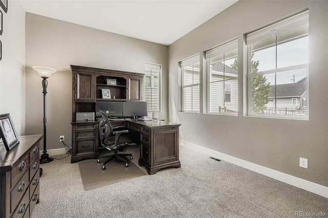 4824 Mt Shavano St, Brighton, CO 80601 - photo 7