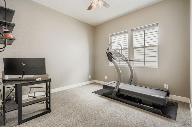 4824 Mt Shavano St, Brighton, CO 80601 - photo 16