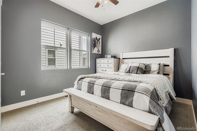 4824 Mt Shavano St, Brighton, CO 80601 - photo 17