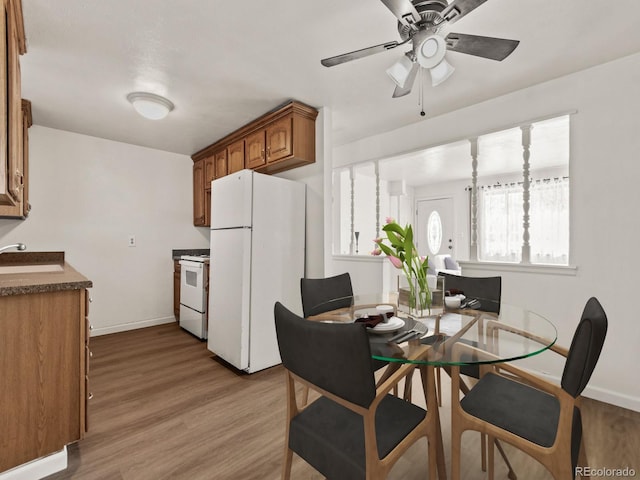 dining area featuring sink, light hardwood / wood-style floors, and ceiling fan