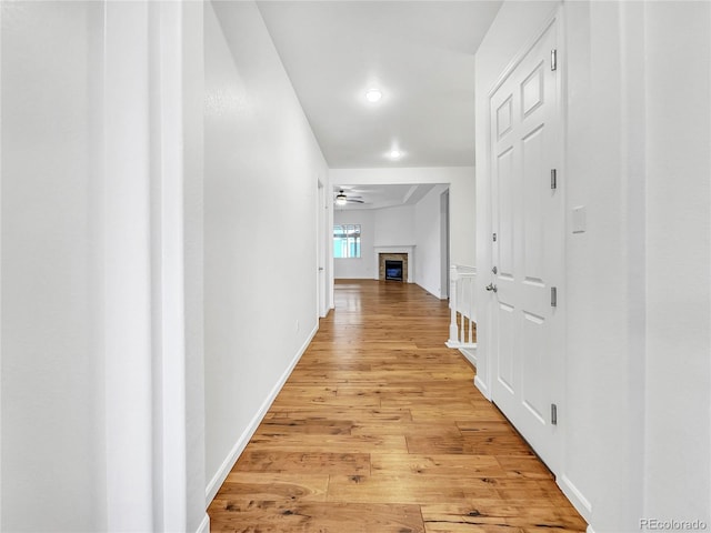 hall featuring light wood-type flooring