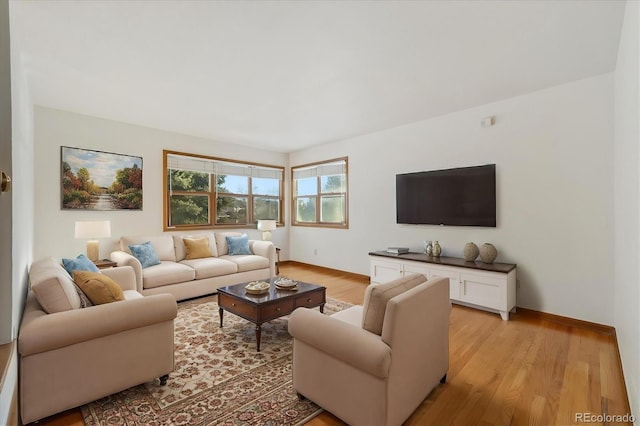 living room featuring light hardwood / wood-style floors