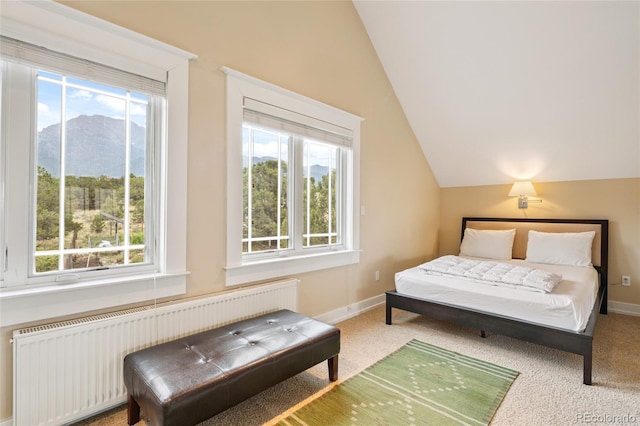 Listing photo 46 - caption unavailable