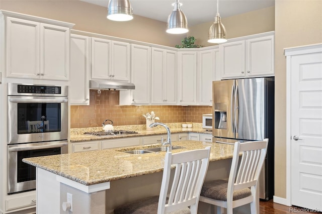 kitchen with stainless steel appliances, tasteful backsplash, a sink, and under cabinet range hood