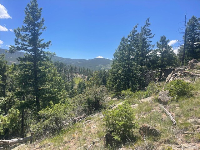 32634 Lodge Pole Cir, Evergreen, CO 80439 - photo 2