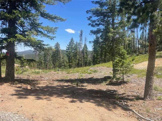 32634 Lodge Pole Cir, Evergreen, CO 80439 - photo 8