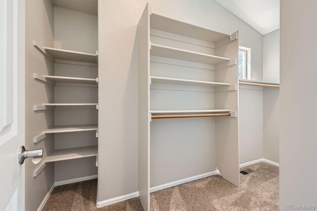 spacious closet featuring carpet floors