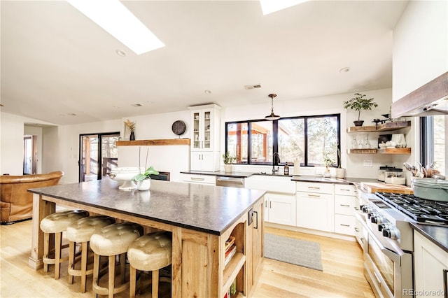 kitchen with a skylight, dark countertops, stainless steel appliances, open shelves, and a sink