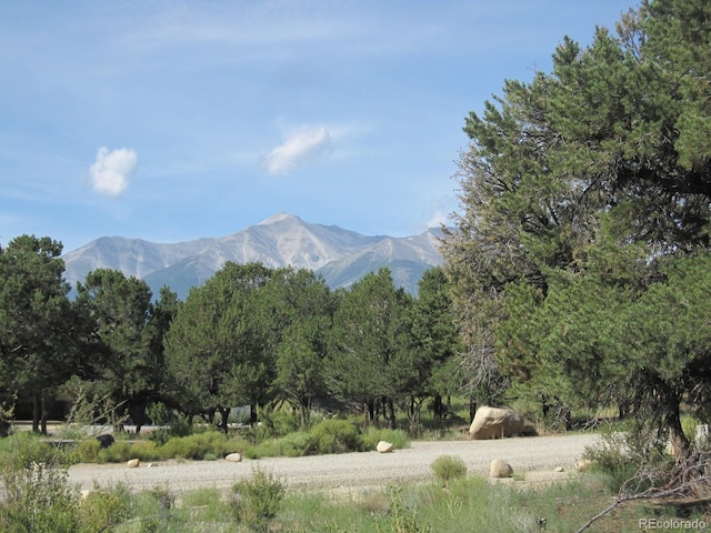 30036 Teal Run, Buena Vista CO, 81211 land for sale