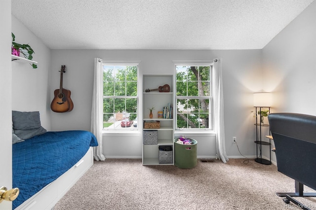 9632 W Chatfield Ave Unit C, Littleton, CO 80128 - carpeted bedroom with a textured ceiling, multiple windows, and baseboards