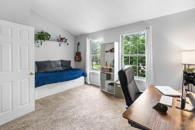 9632 W Chatfield Ave Unit C, Littleton, CO 80128 - carpeted bedroom with lofted ceiling, a textured ceiling, and an office area