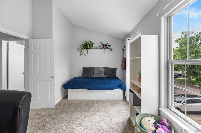 9632 W Chatfield Ave Unit C, Littleton, CO 80128 - carpeted bedroom featuring vaulted ceiling, multiple windows, and a textured ceiling
