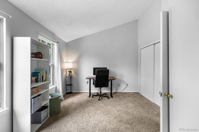 9632 W Chatfield Ave Unit C, Littleton, CO 80128 - office with carpet flooring, a textured ceiling, and lofted ceiling