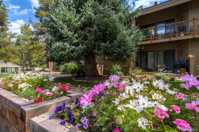 1937 Soda Ridge Rd Unit 1132, Dillon, CO 80435 - view of yard with a balcony
