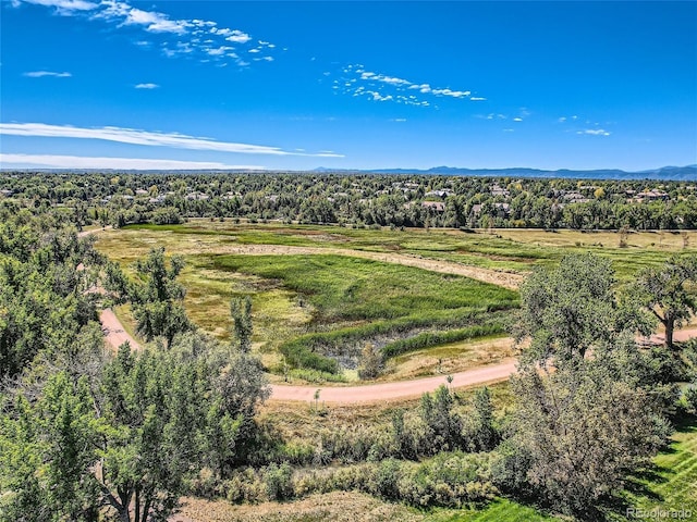 drone / aerial view of a forest