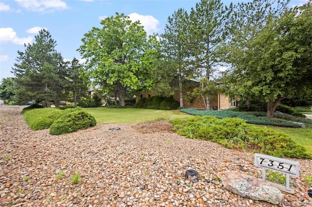 7351 Poppy Way, Arvada, CO 80007 - view of green lawn