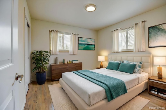 bedroom with a closet, multiple windows, and light wood-type flooring