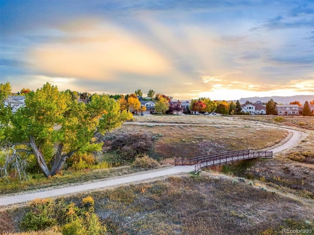 view of yard at dusk