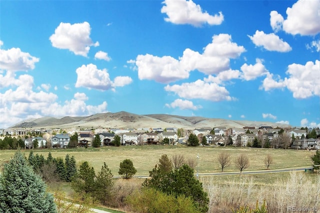 3305 S Indiana St, Lakewood, CO 80228 - photo 4