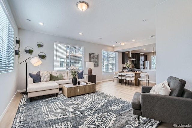 living room featuring light hardwood / wood-style floors