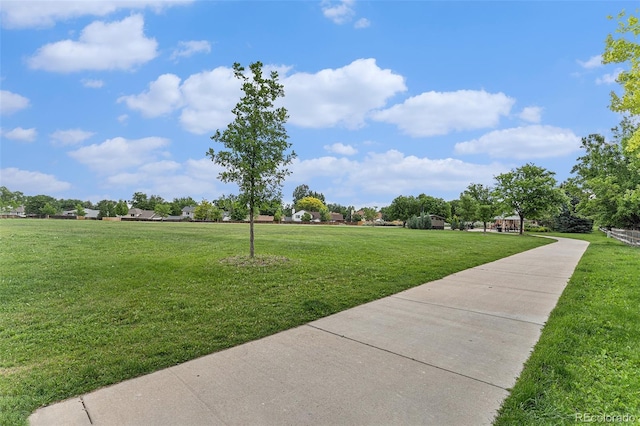 309 S 30th Ave, Brighton, CO 80601 - view of green lawn