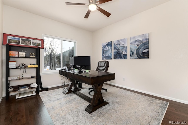 home office with ceiling fan and dark hardwood / wood-style flooring