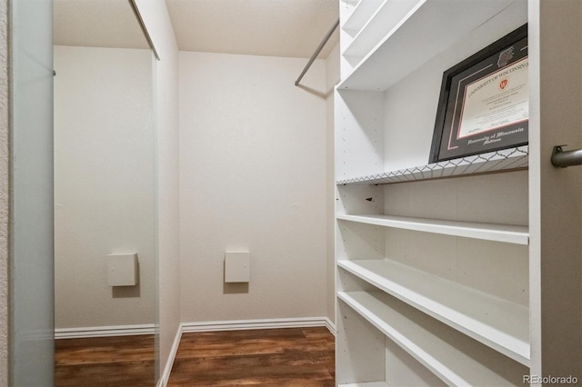 walk in closet featuring dark wood-type flooring