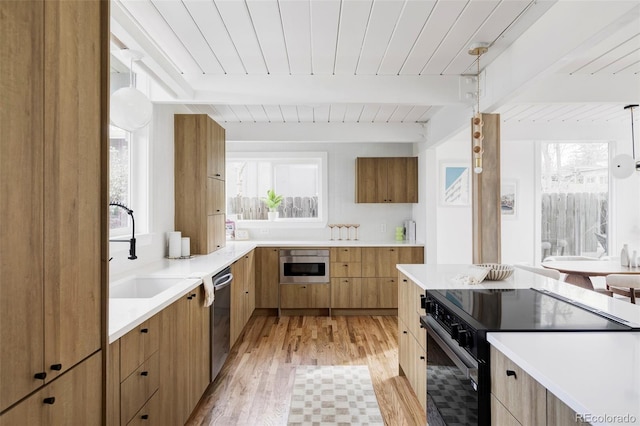 kitchen featuring a healthy amount of sunlight, modern cabinets, appliances with stainless steel finishes, and a sink