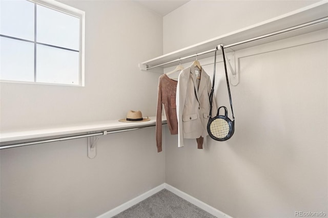 12795 Jasmine Ct, Thornton, CO 80602 - photo 33