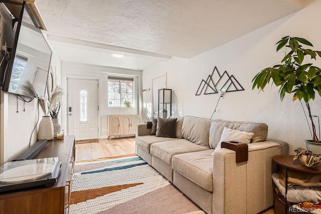 living room featuring hardwood / wood-style floors and a textured ceiling