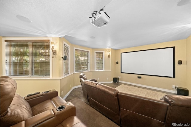 view of home theater room