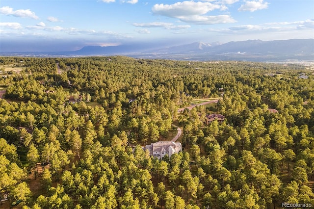 birds eye view of property with a mountain view