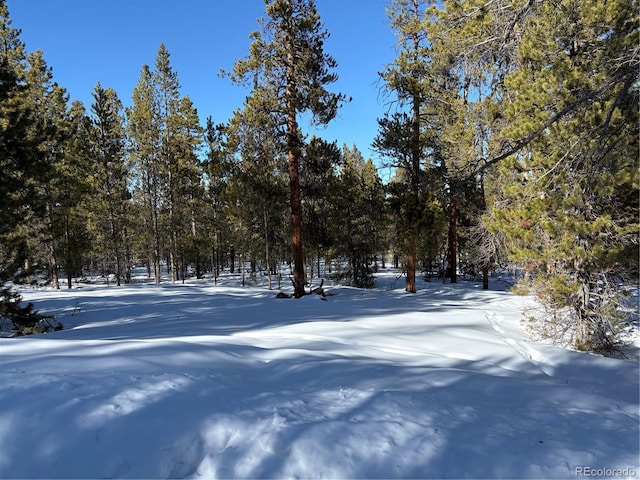 331 Mt Massive Rd, Twin Lakes CO, 81251 land for sale