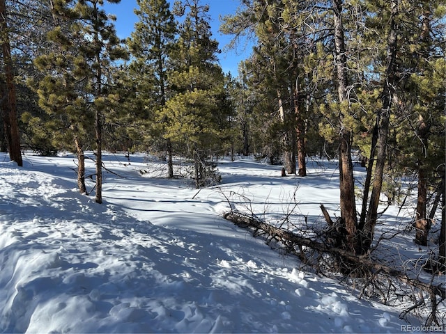 Listing photo 2 for 331 Mt Massive Rd, Twin Lakes CO 81251