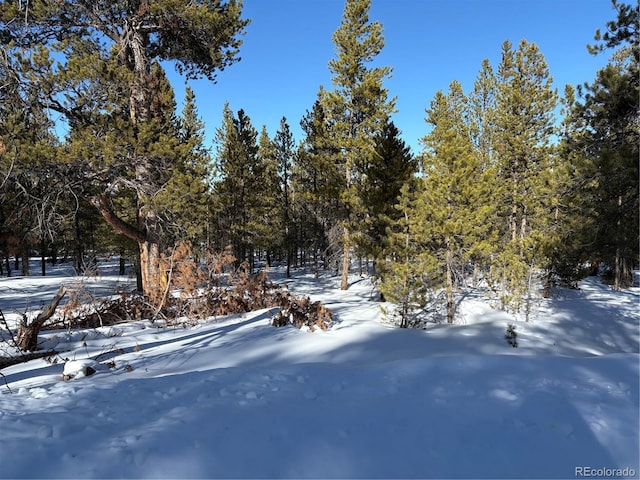 Listing photo 3 for 331 Mt Massive Rd, Twin Lakes CO 81251