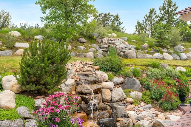 276 Ember Pl, Castle Rock, CO 80104 - photo 5
