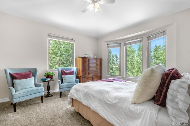 276 Ember Pl, Castle Rock, CO 80104 - photo 25